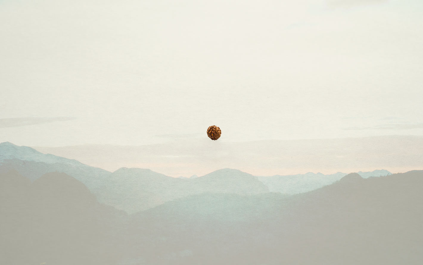 Graine de rudraksha - symbole de sankalpa