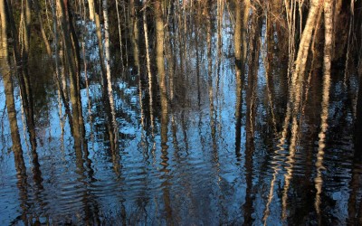 Le lac à coté du centre de retraite Haa.