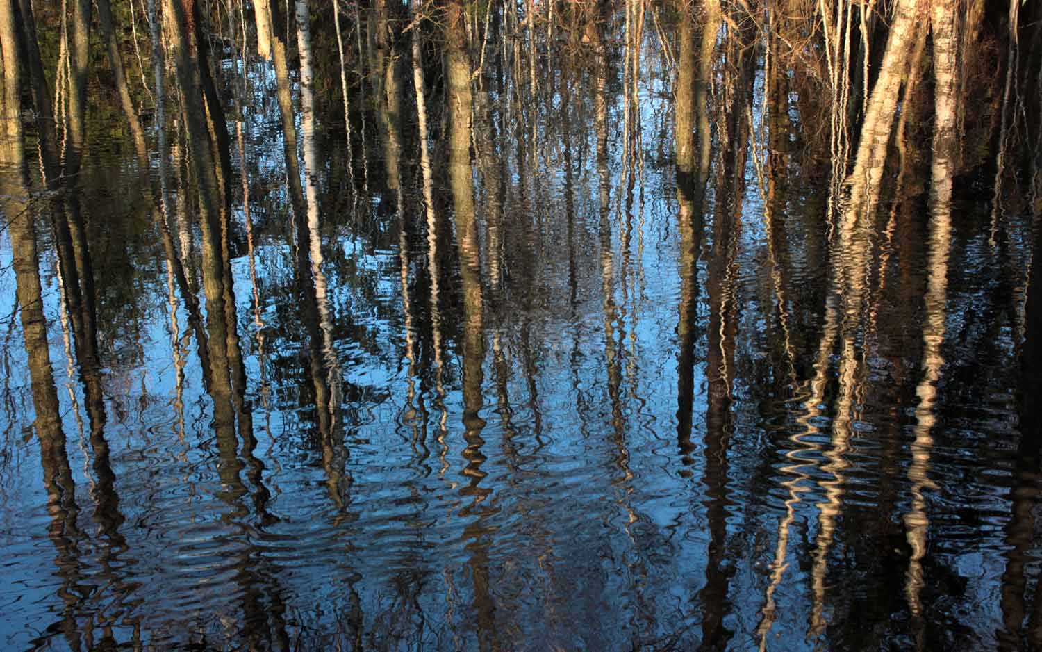 Le lac à coté du centre de retraite Haa.