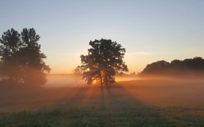 Lever du soleil, bon moment pour faire du yoga.