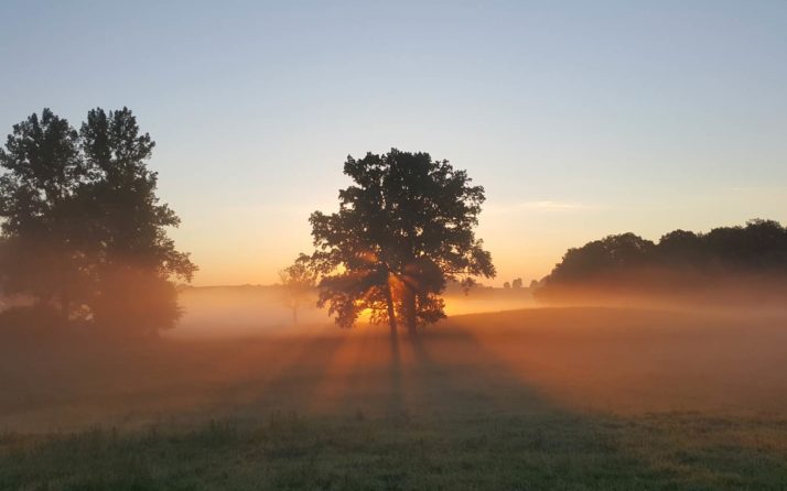 Tôt le matin. Par tradition vue comme le meilleur moment pour faire du yoga.