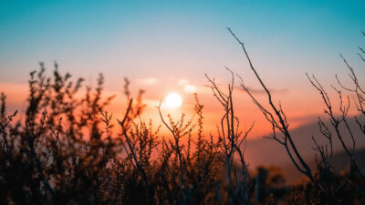 Une image d'un lever de soleil. Une bonne heure pour yoga nidra.