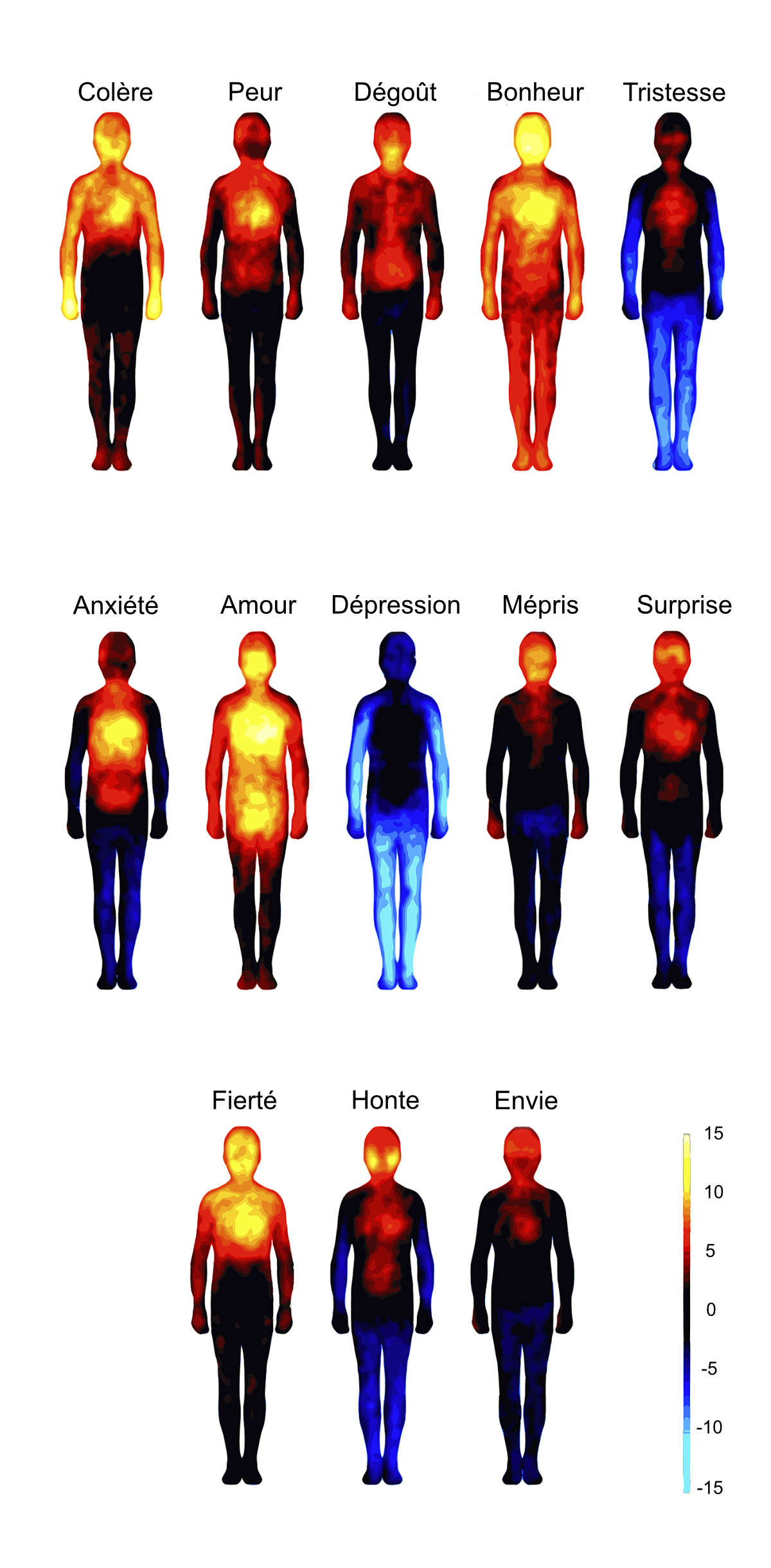 Visualisation de localisation des émotions dans le corps.