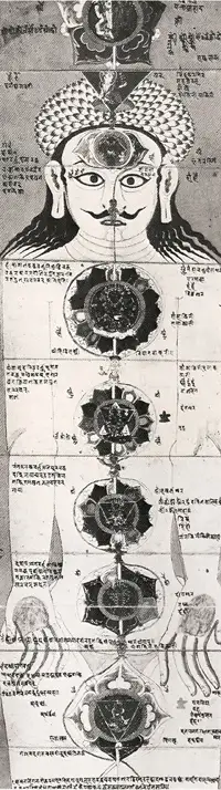 Representation traditionnelle des chakras.