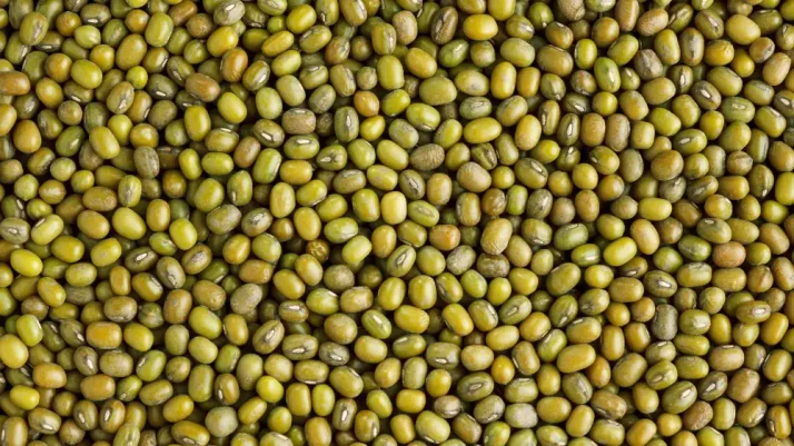 Haricots mungo